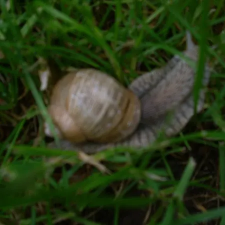 Seniorengerechte In Grossalmerode *