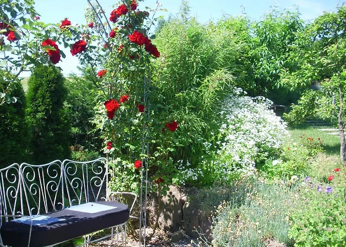 Apartment Seniorengerechte In Großalmerode *