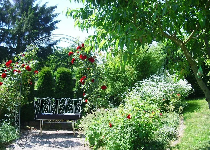 Apartment Seniorengerechte In Großalmerode Trubenhausen