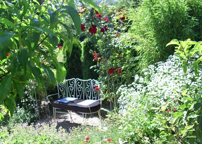 Apartment Seniorengerechte In Großalmerode *