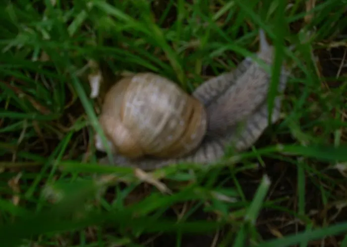 Seniorengerechte In Großalmerode *